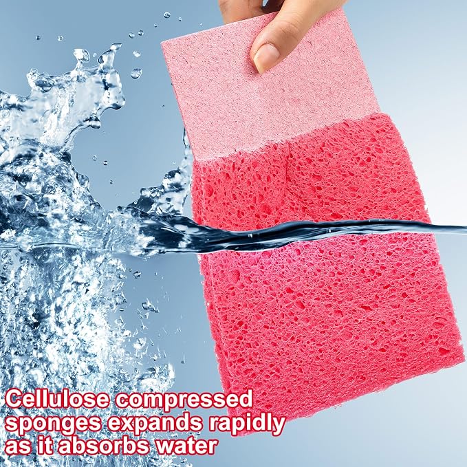Honeydak 12 Pcs Cellulose Compressed Sponges - Image 3