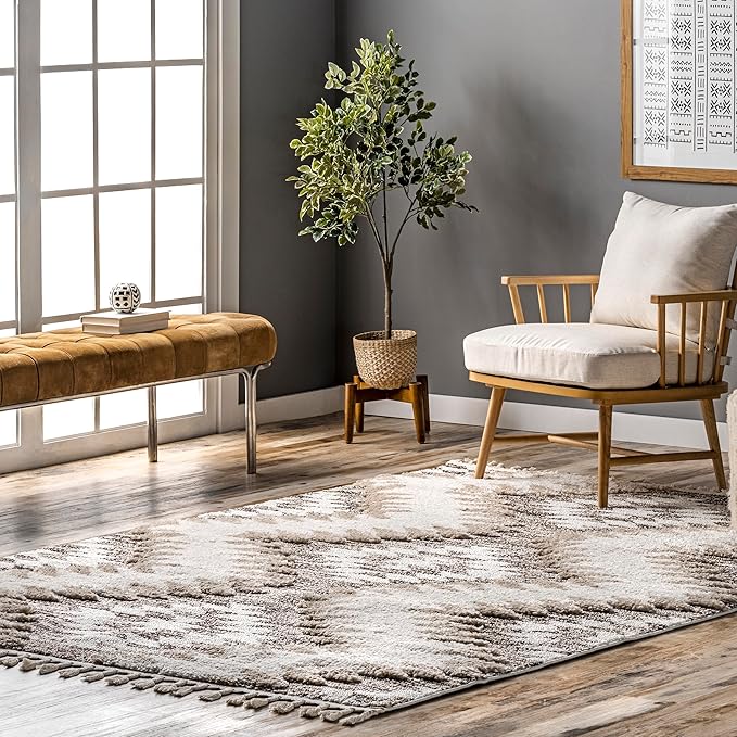 nuLOOM Adelade Beige/Ivory, 8'10" x 12', Southwestern, Shaggy, Soft and Cozy, High Traffic, Stain Resistant Area Rug for Bedroom, Living Room, Dining Space, Den, Foyer, Entryway