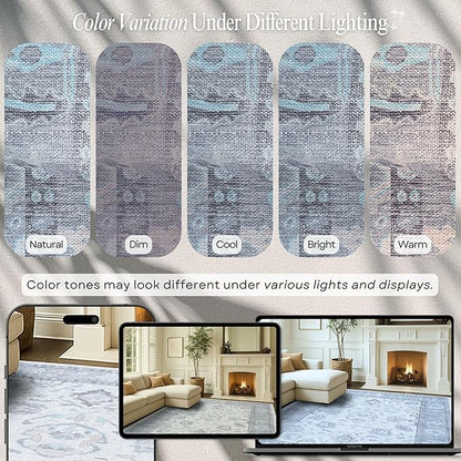 Fame Rugs Gray Modern Oushak Rug 2x3, Vintage Doormat Turkish Colorful Oriental Antique Inspired Washable Small Area Rug, Luxury Living Room Bedroom (384GB, 2' x 3')