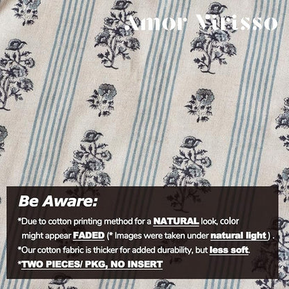 Amor Virisso Floral Throw Pillow Covers 22x22 Set of 2 Block Print Pillow Covers Neutral Floral Striped Farmhouse Decorative Pillow Covers for Sofa Couch Bed, Light Blue
