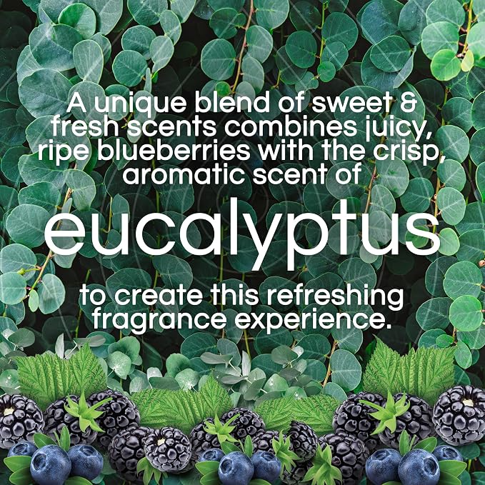 Air Wick Scented Oils 0+5 Eucalyptus & Wild Berries - Image 3