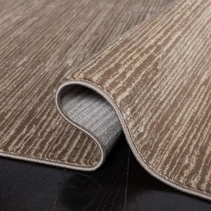 SAFAVIEH Vision Collection Area Rug - 9' Round, Light Brown, Modern Ombre Design, Non-Shedding & Easy to Clean, Ideal for Living Room, Bedroom, Dining Space (VSN606C)