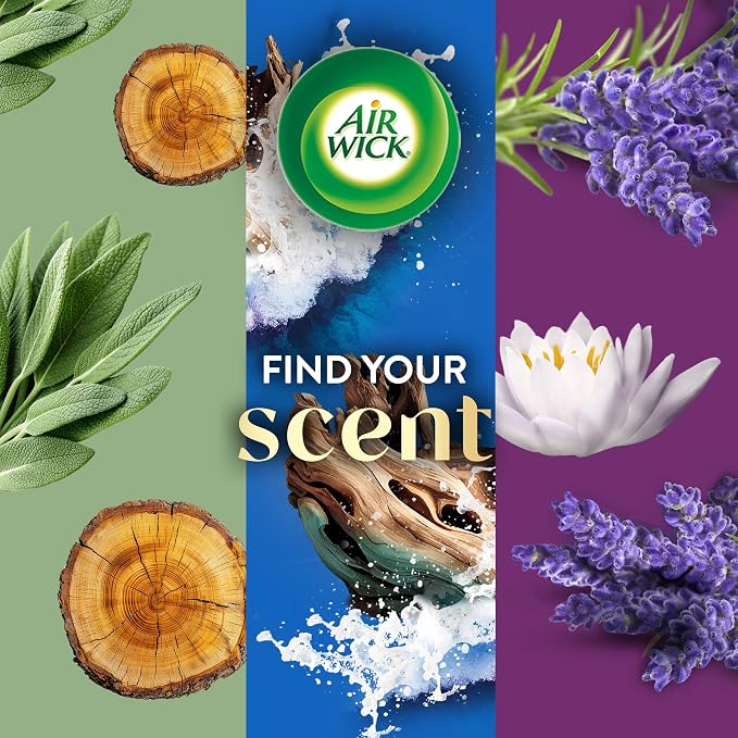 Air Wick Scented Oils 0+5 White Sage & Mahogany - Image 6
