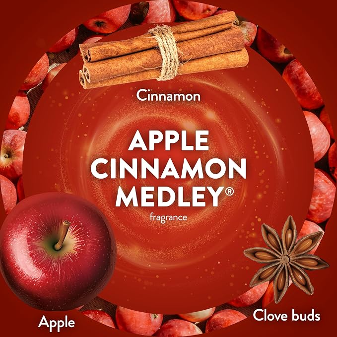 Air Wick Scented Oils 0+7 Apple Cinnamon Medley - Image 4