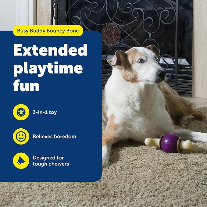 PetSafe Busy Buddy Bouncy Bone - Image 2