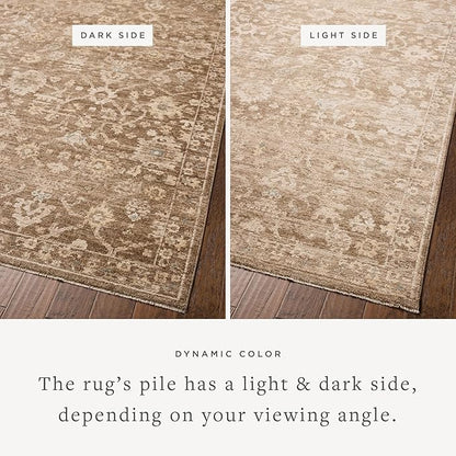 Loloi Chris Loves Julia Palma Collection PLM-09 Brown/Earth 2'-7" x 10'-0" Runner Rug Vintage Style Boho Living Room Bedroom Carpet