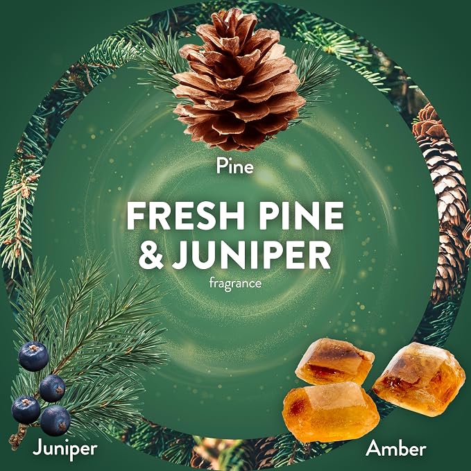 Air Wick Scented Oils 0+5 Fresh Pine & Juniper - Image 4