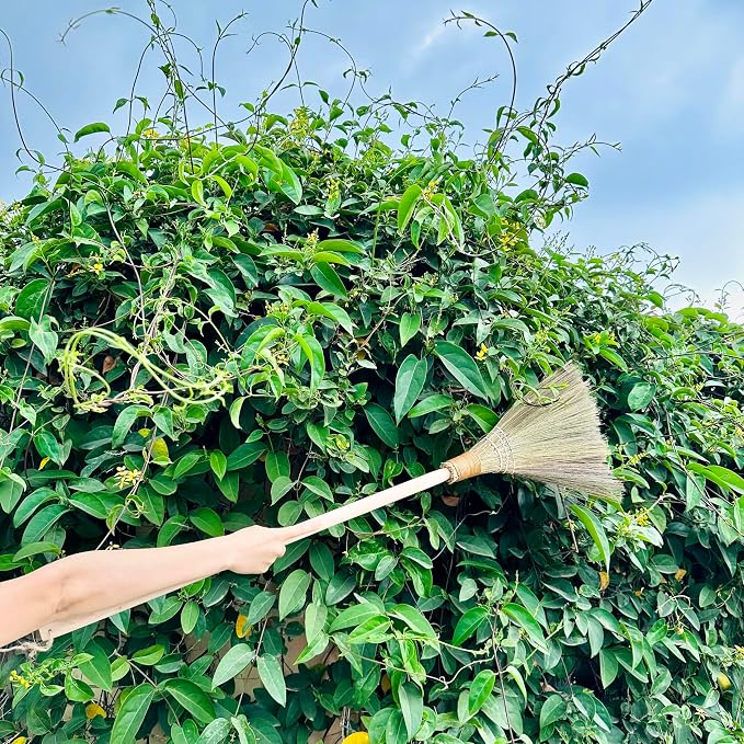 TTS Handmade Whisk Sweeping Broom - Image 8