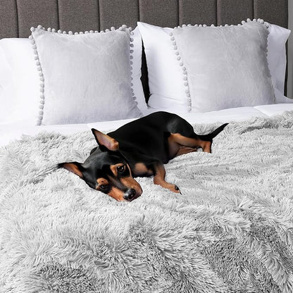 PetAmi Waterproof Dog Blanket for Small Medium Dogs, Calming Fleece Cat Blanket, Couch Protector Washable Sherpa Faux Fur Pet Throw for Puppy, Soft Reversible 29x40 Light Gray