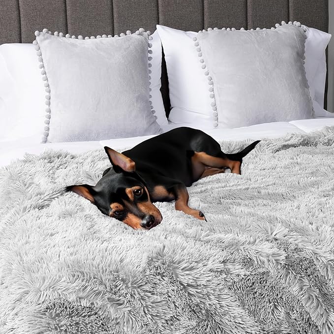 PetAmi Waterproof Dog Blanket for Medium Large Dogs, Calming Fleece Cat Blanket, Couch Protector Washable Sherpa Faux Fur Pet Throw for Puppy, Soft Reversible Leakproof 40x60 Light Gray