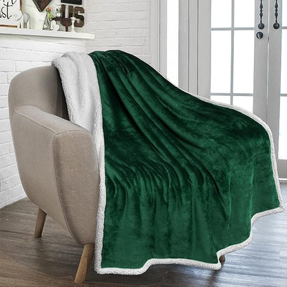 PAVILIA Sherpa Fleece Throw Blanket for Couch, Emerald Green, Plush Soft Fuzzy Sofa Blanket, Cozy Reversible Winter Throw for Women Men, 50x60 Inches