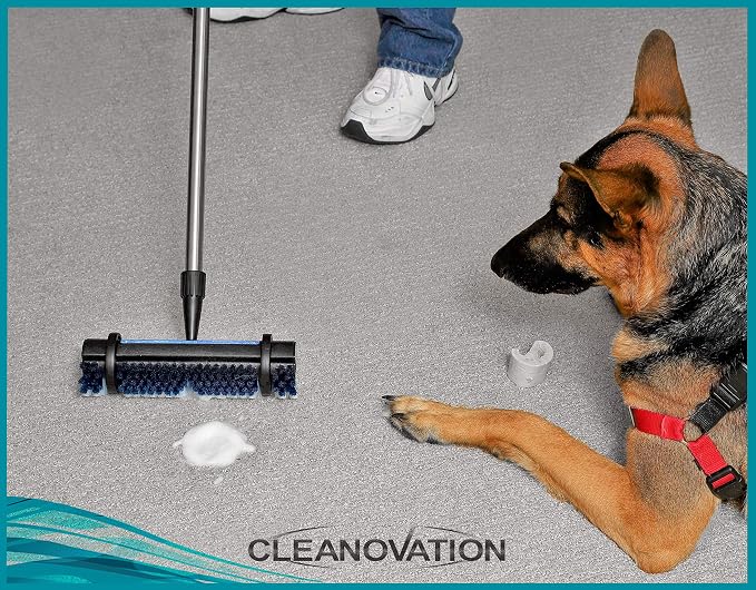 Rug Renovator/Carpet Cleaning Brush - Image 3