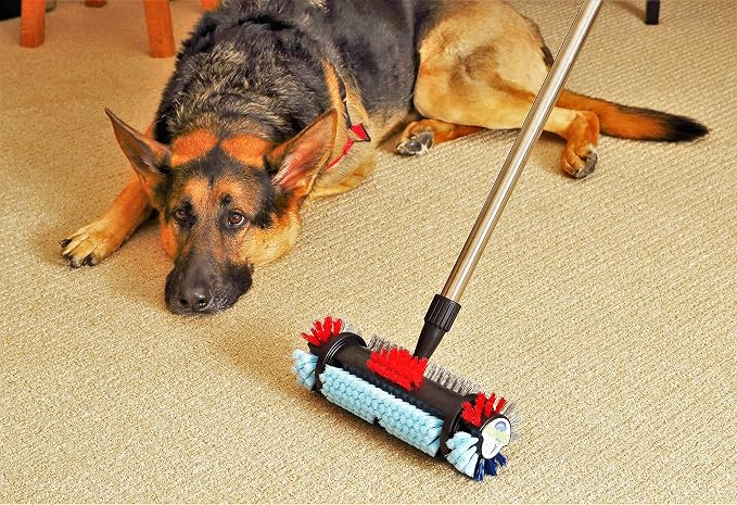 by The Cleaning Experts at Kirby® Comes The Spotty™ ~ Carpet and Ceramic Tile - Image 9