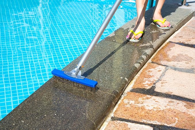 Aquatix Pro Heavy Duty Pool Brush, Durable 10" Swimming Pool Cleaner Brush Best - Image 2